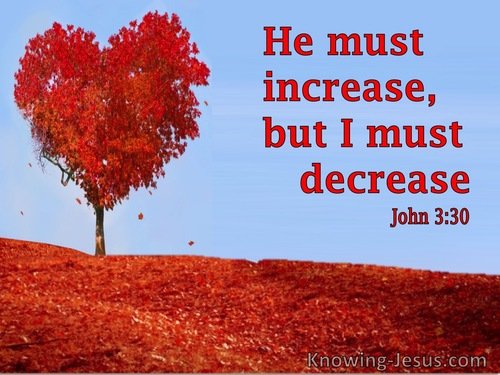 Growing-John 3-30